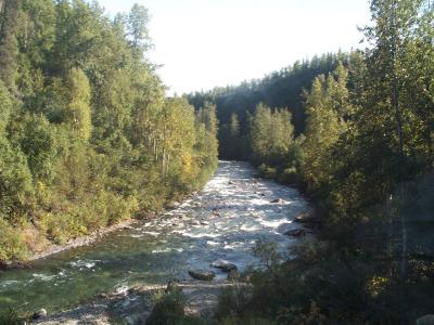 The train ride back to Anchorage 2