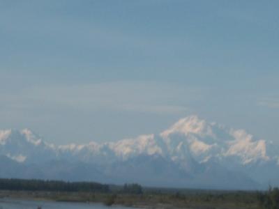 The train ride back to Anchorage 4