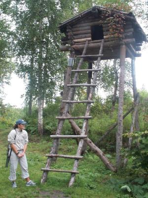 Our Talkeetna Guide 2