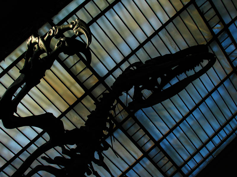 Jurassic Parc