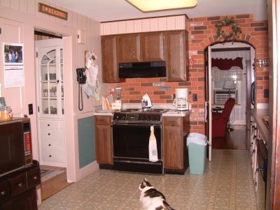 Kitchen - Stove area as of 09/2002 - with old Sears cabinets and Z-Brick wall.  That's Max on the floor!