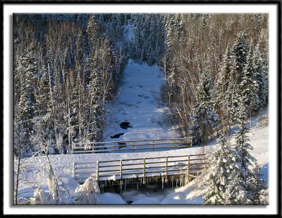 Frozen Poplar River