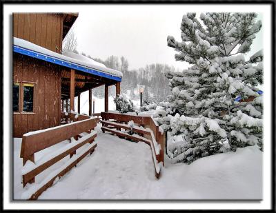 Snow Day
