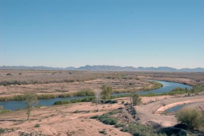 DSC_6567  e.jpg