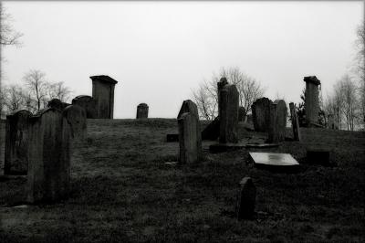 115 Logie Cemetery.