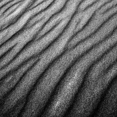 183 Sand Ripples.
