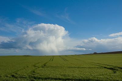 184 Field and Clouds.