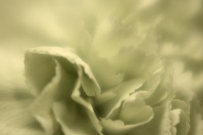 196 A Paler Shade of Green.