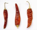 118  The Not So Red Hot Chilli Peppers.