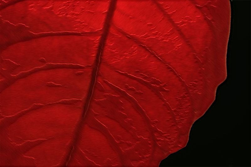 : Leaf Design :