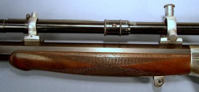 Fore Stock with Palm Rest Attachment