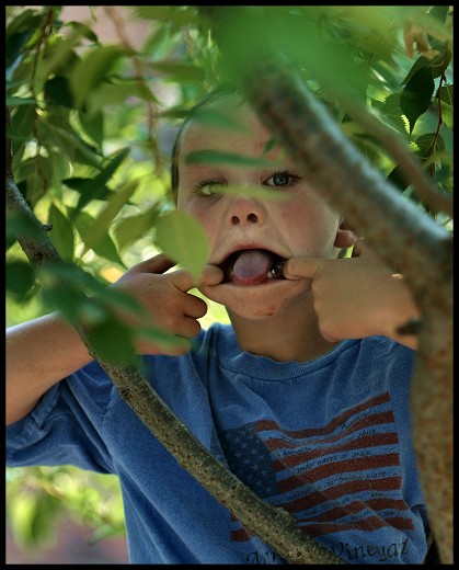 Kidintree