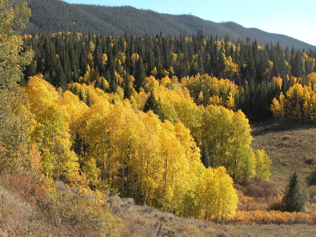 Near Gore Pass