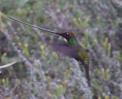 Ecuador