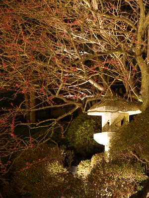 Stone lantern under the blossom tree