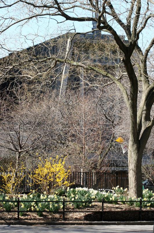 NYU Catholic Center