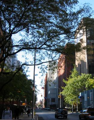 West View from Broadway of NYU Buildings