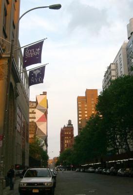 East View from NYU Library Walk