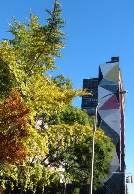 West 3rd Street near NYU Library Walk