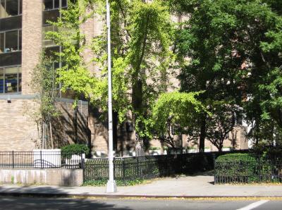 NYU Courant Institute of Mathematics at Mercer Street