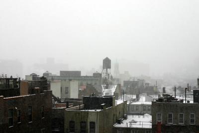 Afternoon - Snow