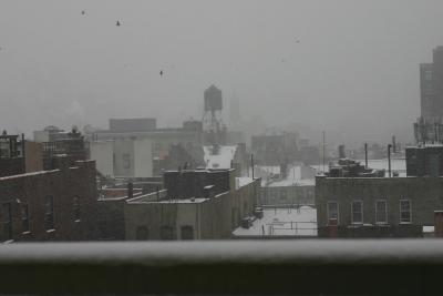 Afternoon - More Snow