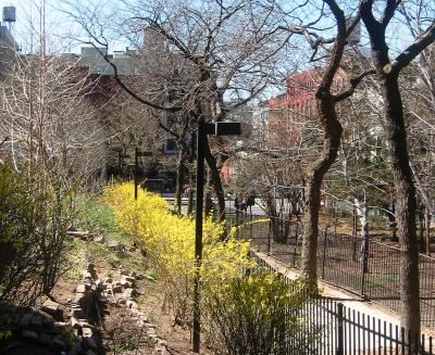 505 LaGuardia Place & Time Landscape Gardens