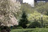Washington Square Village Garden