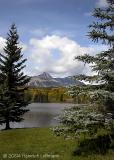 DSCN6679.jpg