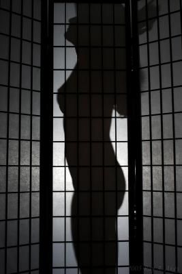 January 17, 2005: Silhouette