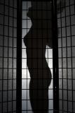 January 17, 2005: Silhouette