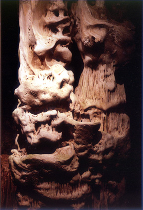 Cango 5