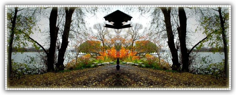 Cayuga by Two