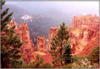 Bryce National Park