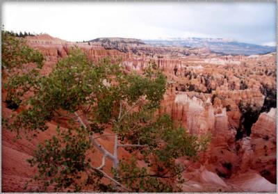 Bryce National Park