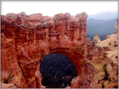 Bryce National Park