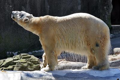 IMG_1183-20050410-2.jpg