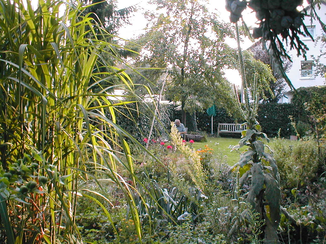 P1010093.JPG
