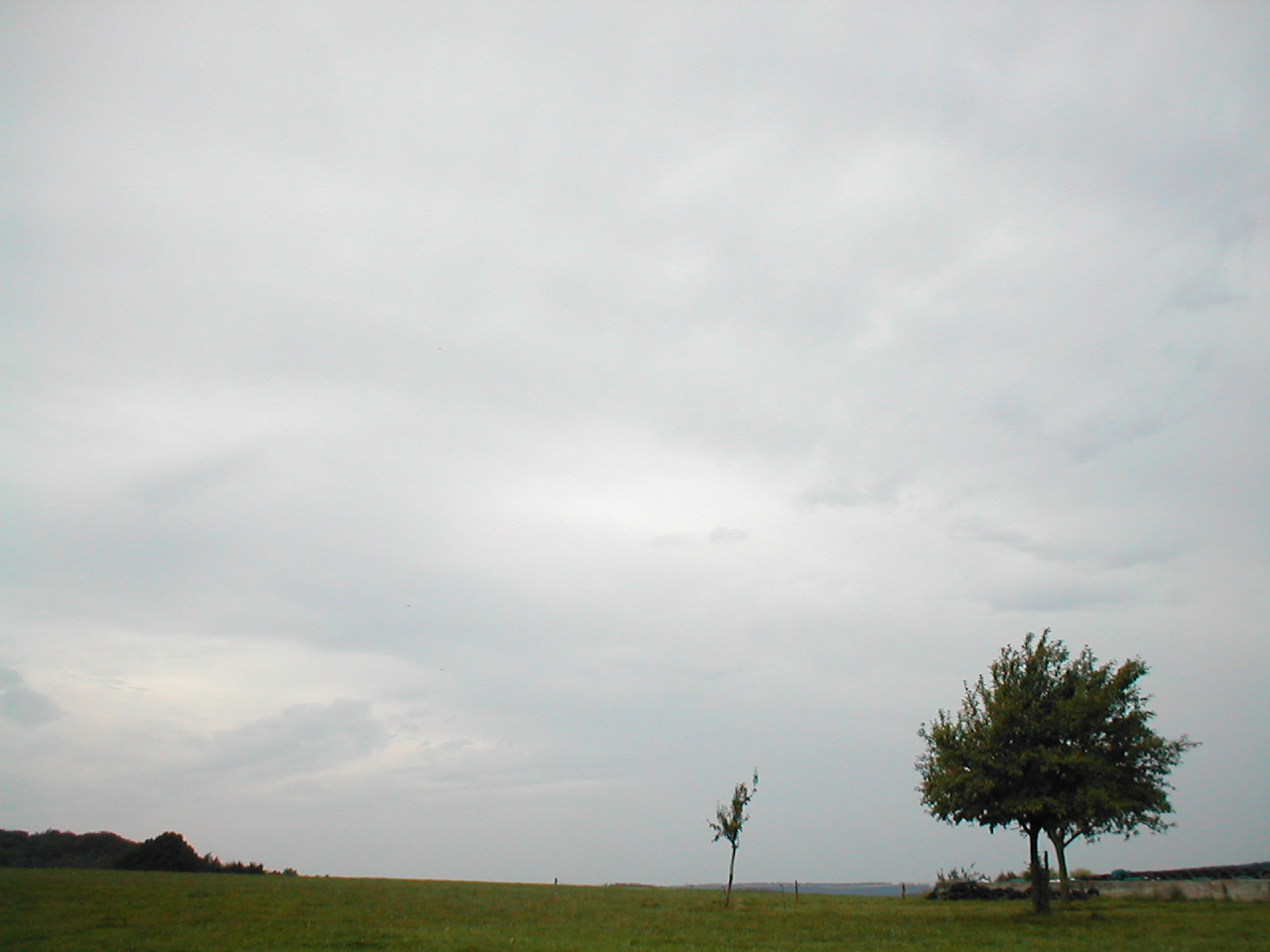 P1010135.JPG