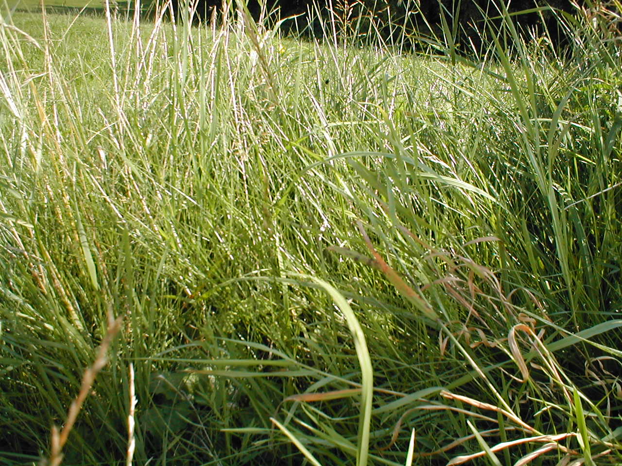 P1010166.JPG