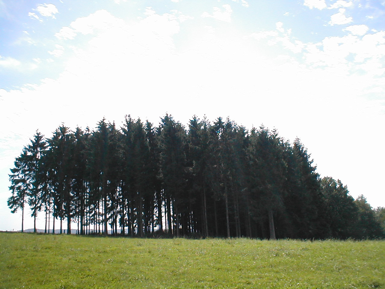 P1010194.JPG