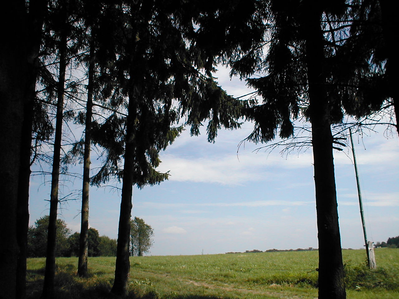 P1010200.JPG