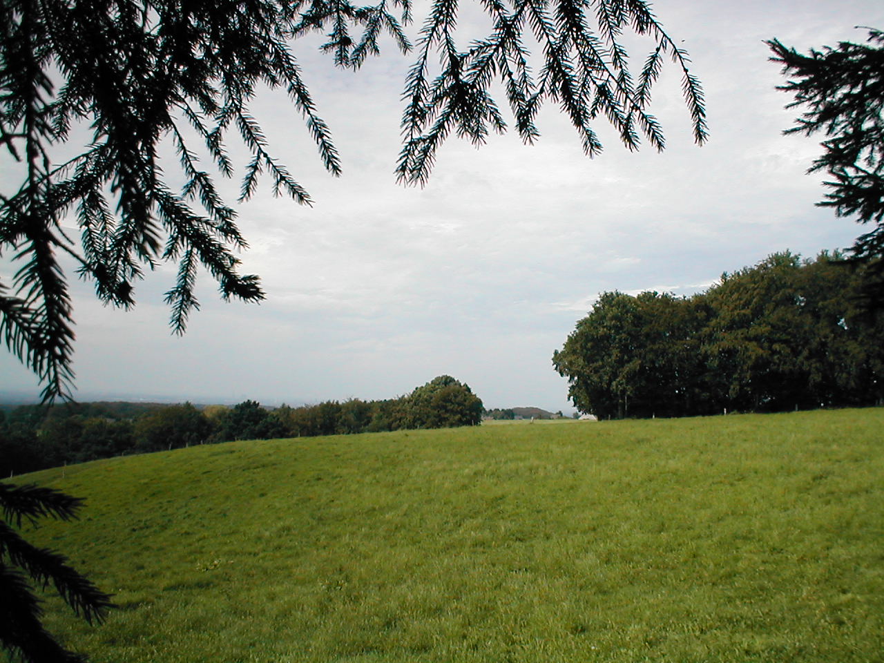 P1010205.JPG