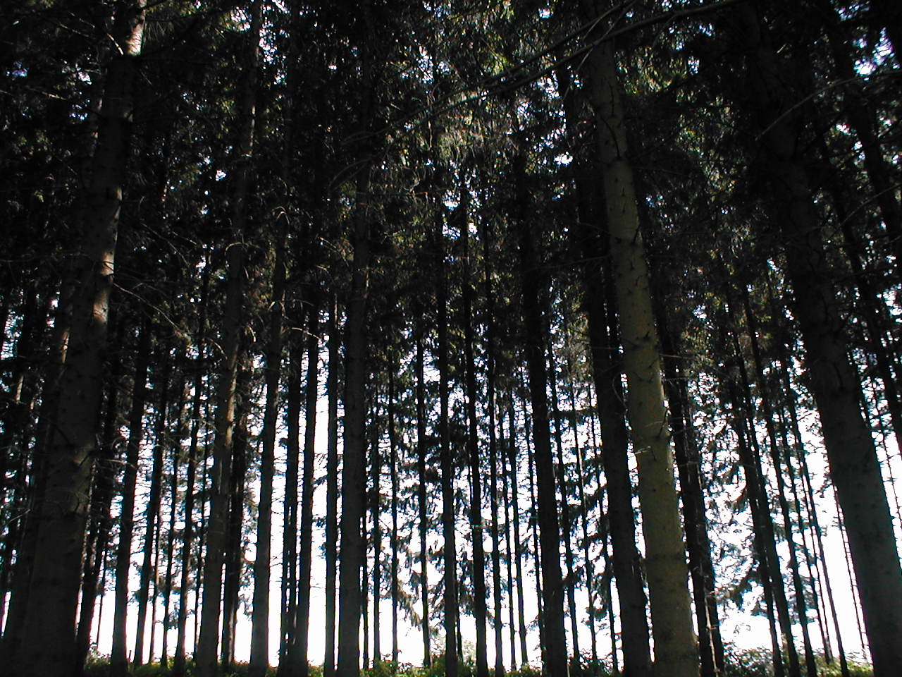 P1010209.JPG