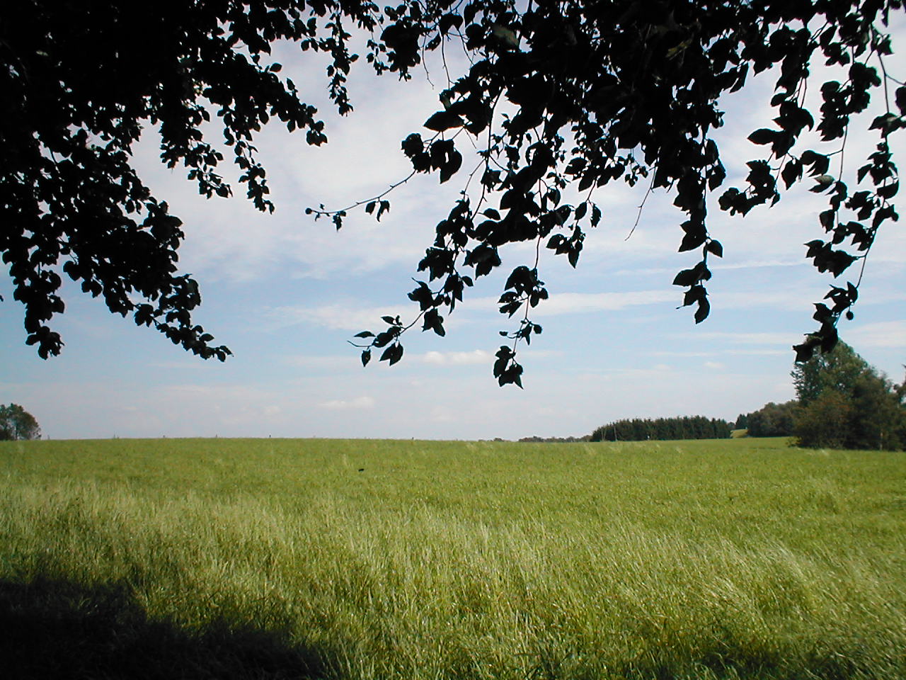 P1010210.JPG