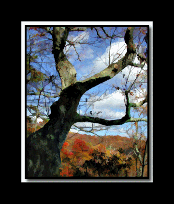 AutumnShow.gif