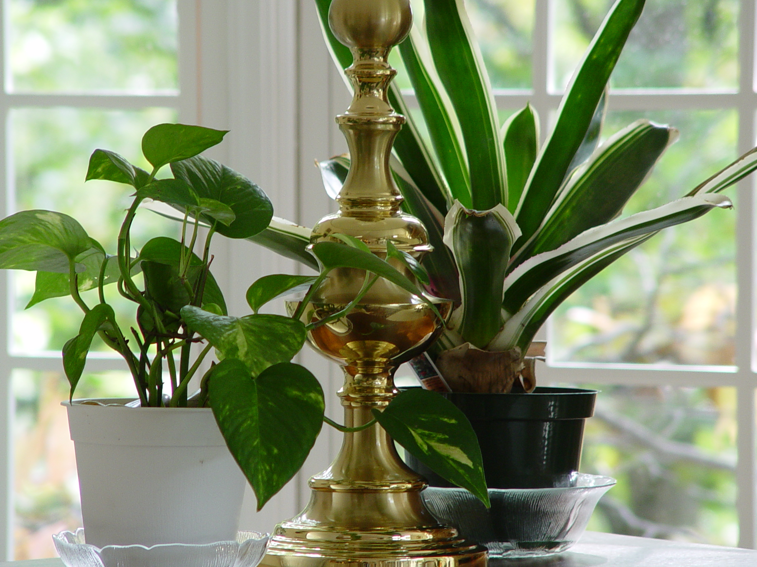 Dsc00076.jpg