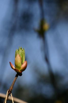 IMG_7492.JPG