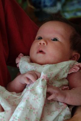 Ava gaze
