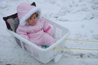 Little snow bean - 9 months